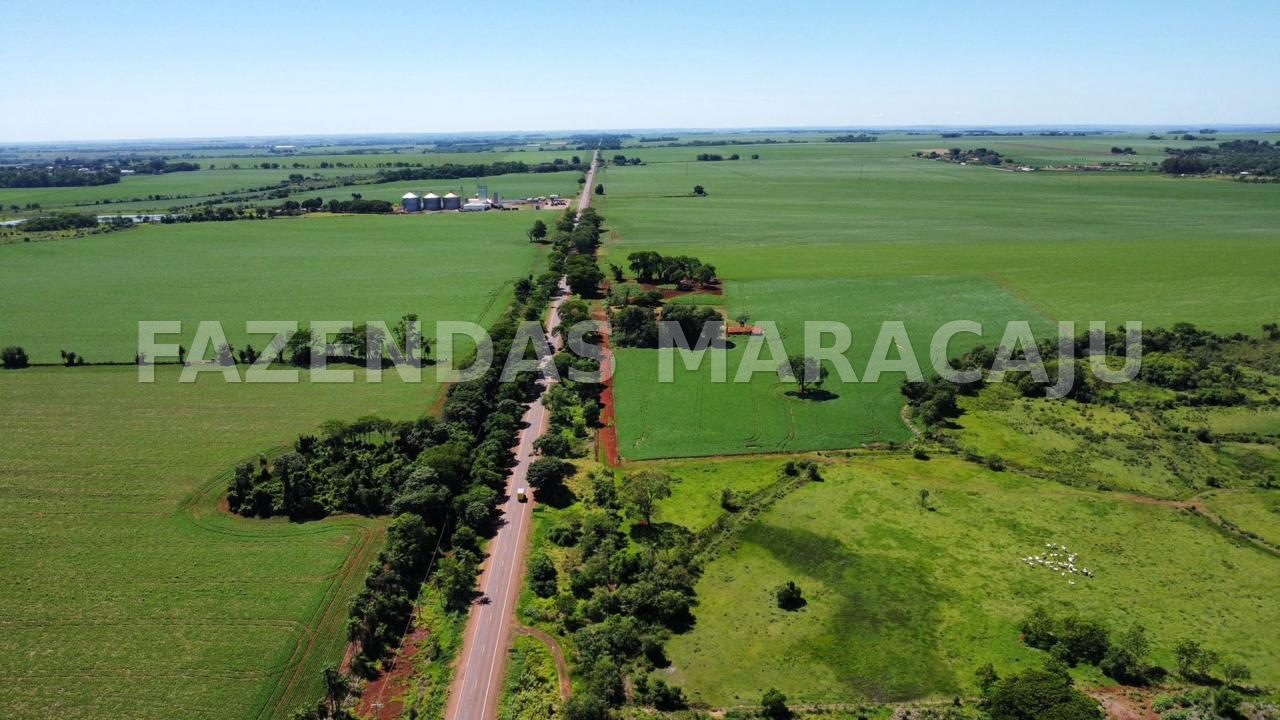 FM 705 — foto de capa