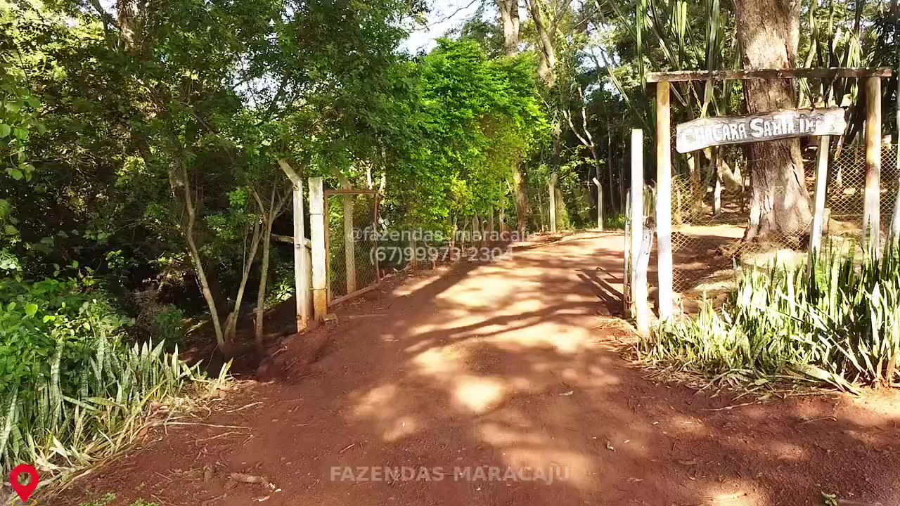 FM 711 — foto de capa