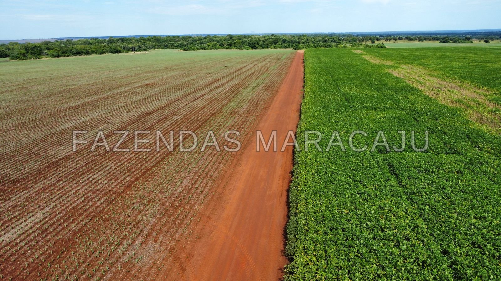 FM 724 — foto 1