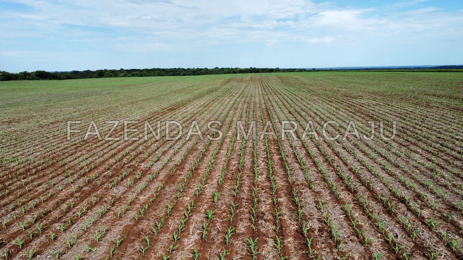 FM 724 — foto 3