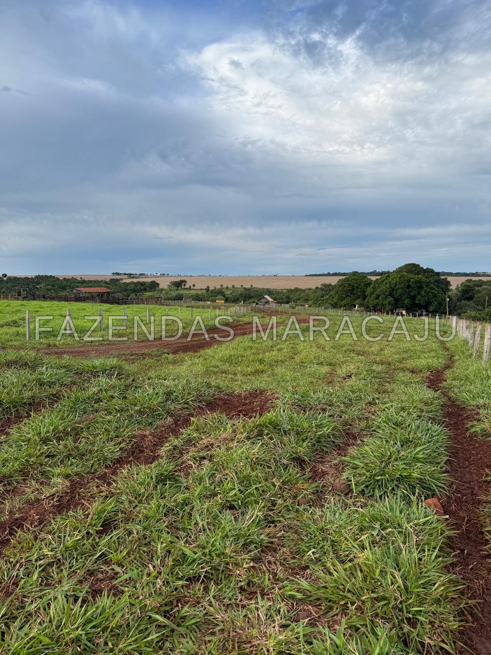 FM 725 — foto 1