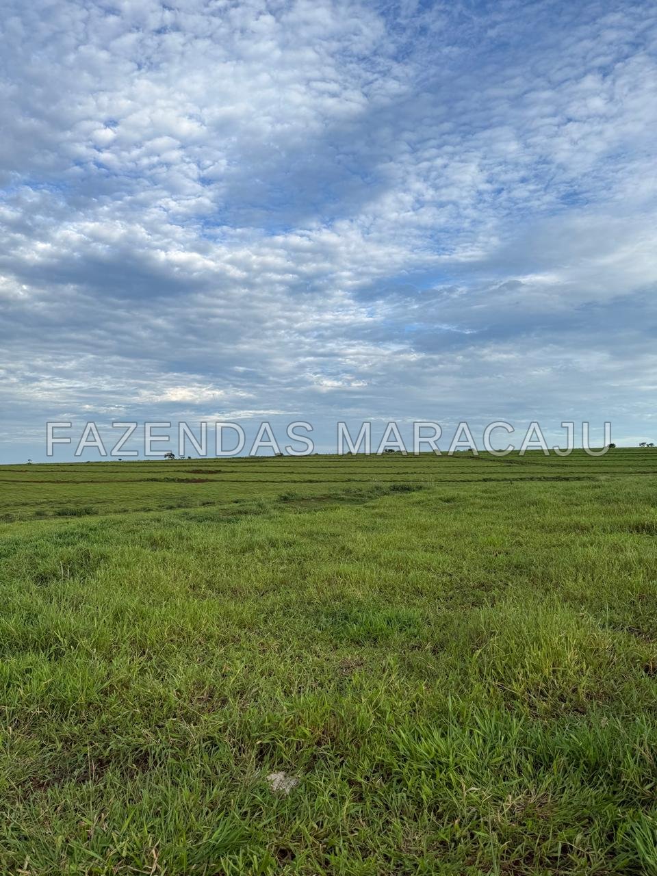 FM 725 — foto 2