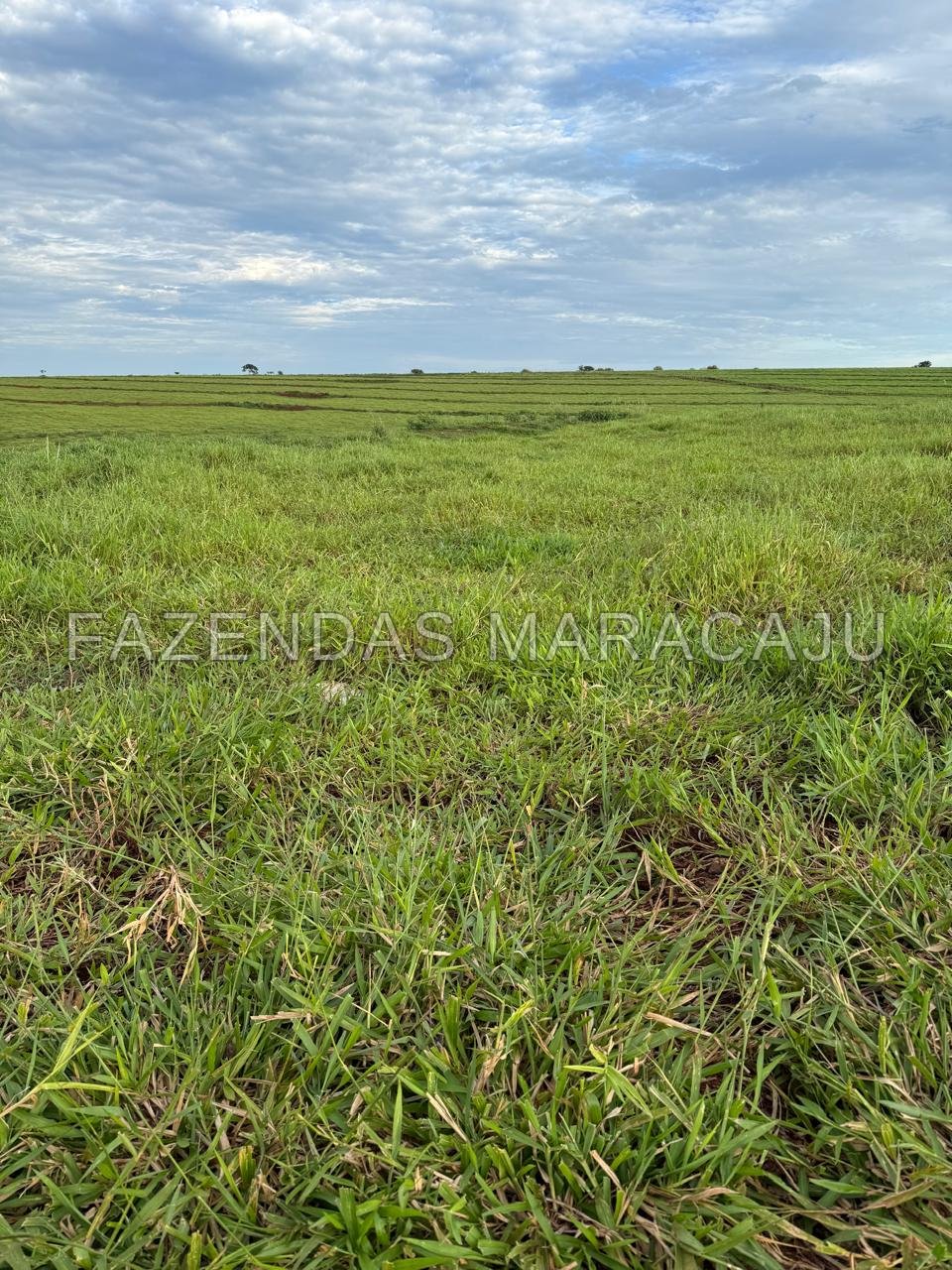FM 725 — foto 3